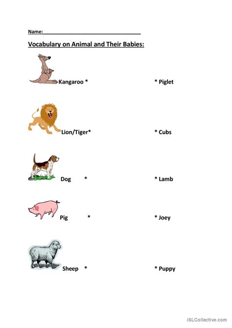Animal And Their Babies English Esl Worksheets Pdf And Doc