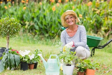 How Gardening Can Help Your Overall Health And Wellbeing The Best Of