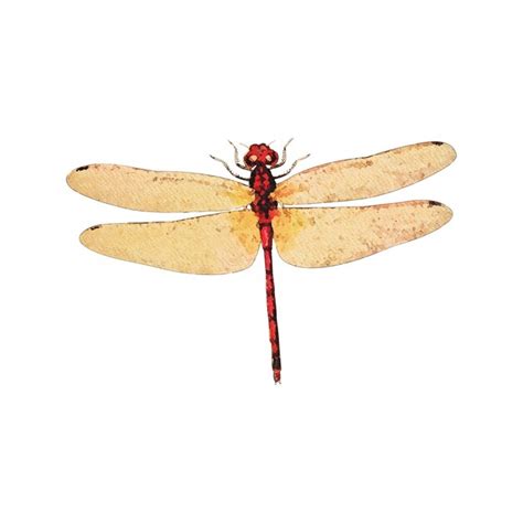 Premium Vector Dragonfly Watercolor Vector Illustration