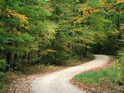 Country Road In Autumn Nashville Indiana Scenic Roads And Paths