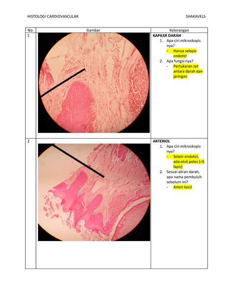 Histo Cardio - No. Gambar Keterangan 1 KAPILER DARAH Apa ciri