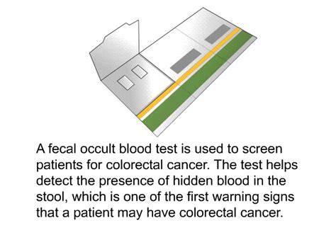 Fecal Occult Blood Test Fobt
