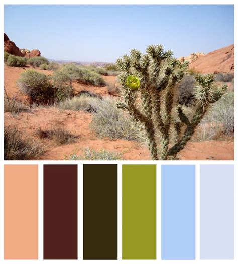 Red Rock Canyon Mojave Desert And Vegas Inspired Color Palettes