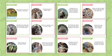 Part Of The Party Australian Animal Fact Cards