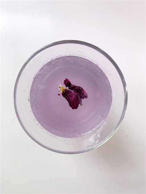 Moontails Taurus New Moon Cocktail Recipe — The Magick Makers Cocktail Recipes Seasonal