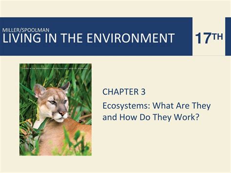 Ppt Chapter 3 Ecosystems What Are They And How Do They Work
