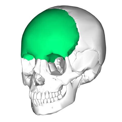 Facial Fractures - Core EM