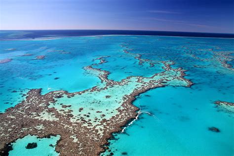 Great Barrier Reef Named Worlds Best Place To Visit In 2016 2017 The