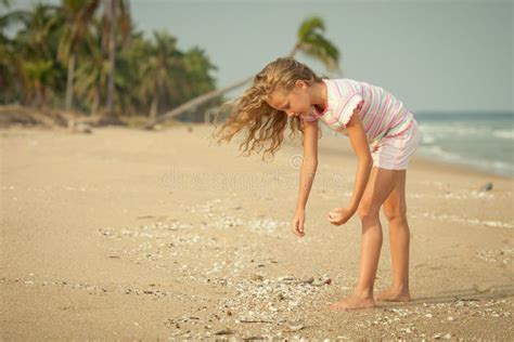 Girl On The Beach Collecting Shells Stock Image Image Of Preschooler Beach