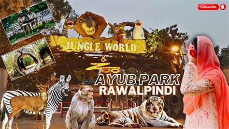 Ayub National Park Rawalpindi Tour To Ayub Park Jungle World