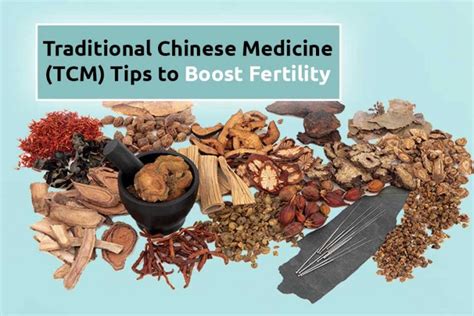 traditional chinese medicine tcm tips to boost fertility