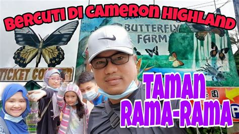 Tempat menarik di cameron highland sangat beragam dan cocok sebagai tempat penenangan diri. Part 2 - bercuti di Cameron Highland. Taman Rama-rama ...