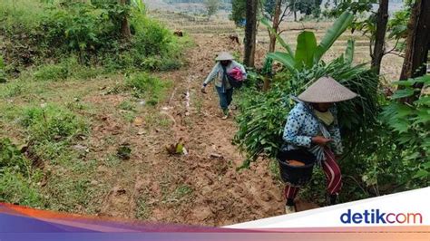 Heboh Mobil Nyasar Di Tengah Hutan Tambakromo Pati Begini Kesaksian Warga