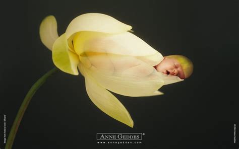 Free Download Anne Geddes All Wallpaper 1280x1024 For Your Desktop