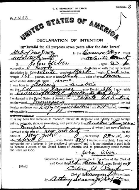Olive Tree Genealogy Blog New Jersey Naturalization Records 1850 1930