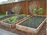 Garden Soil Vs Compost Pictures