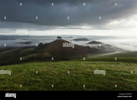 Colmers Hill And The Marshwood Vale In Morning Mist Dorset England