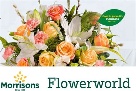 Browse flowers prices, photos and 61 reviews, with a rating of 5.0 out morrison's flowers & gifts. Morrisons expands into online florist market with ...