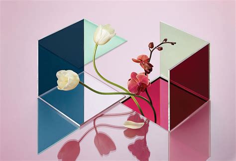 Conceptual Still Life Of Flowers And Reflections Photograph By Nik