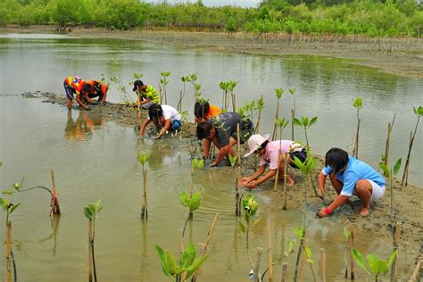 Philippines Green Enforcers Check The Mangroves News Eco Business