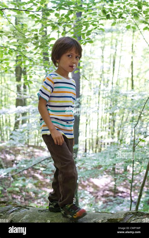 Boy In Woods Stock Photo Alamy