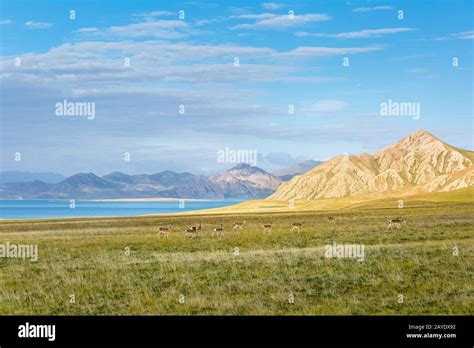 Beautiful Three River Sources Nature Reserve Landscape Stock Photo Alamy