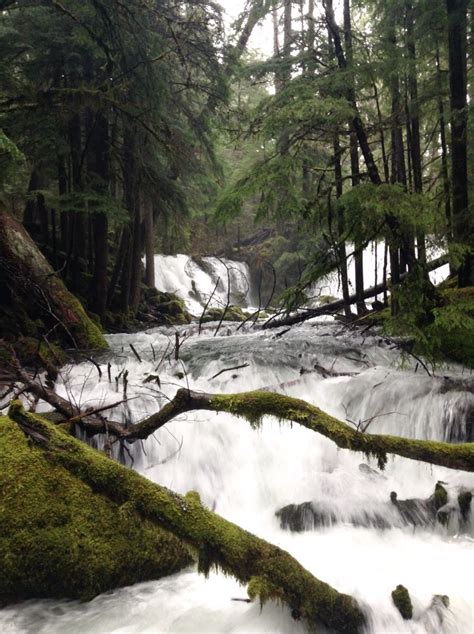 Maybe you would like to learn more about one of these? Mill Creek Falls // Oregon | Travel, Waterfall, Outdoor