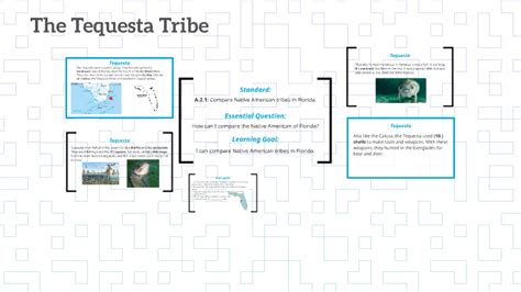 The Tequesta Tribe By Chelsea Conley