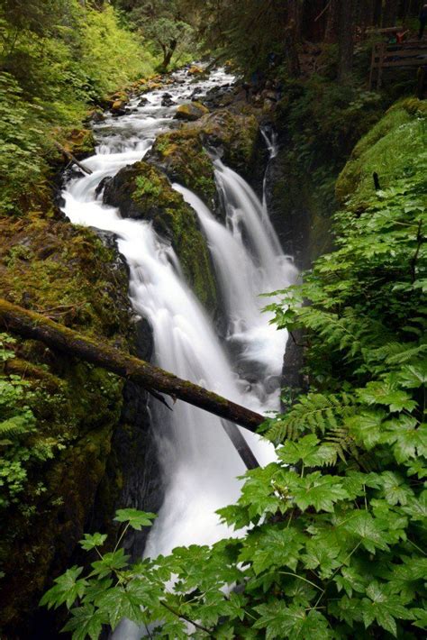 Hiking To Sol Duc Falls Forget Someday Olympic National Park Hikes