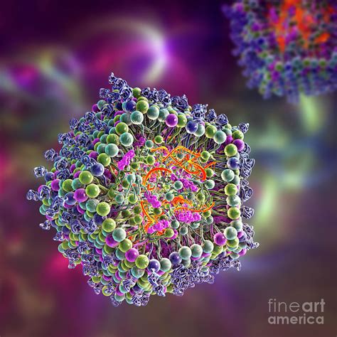 Lipid Nanoparticle Mrna Vaccine Photograph By Kateryna Kon Science Photo Library Fine Art America