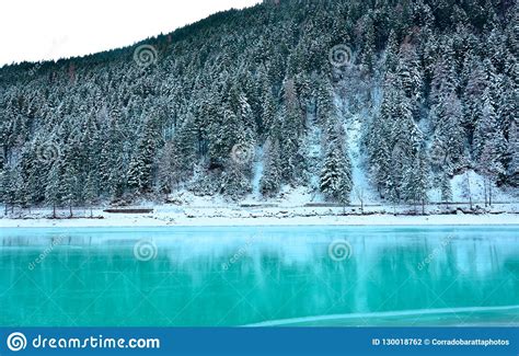 The Beautiful Frozen Turquoise Lake And The Snow Covered Forest Stock