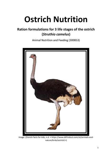 Ostrich Nutrition Studocu Warning Tt Undefined Function 32 Warning Tt