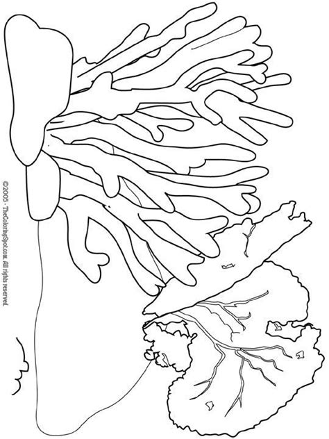 You can use our amazing online tool to color and edit the following coral reef coloring pages. Land, Sea, and Me: Activity - Coral Reef Bleaching - 7/26 ...