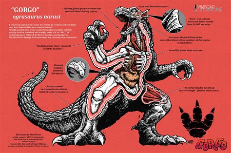 Gorgo Image Gallery Wikizilla The Kaiju Encyclopedia 50 Off
