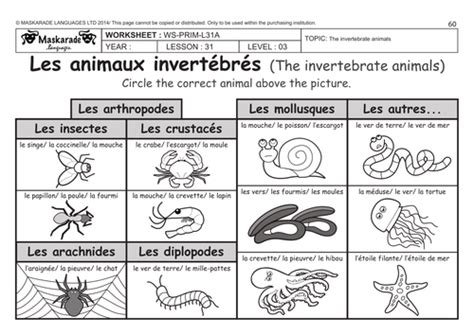 Start studying introduction to invertebrates. FRENCH (UNIT 6: FRIENDS & ACTIVITIES): Year 5/6: The vertebrate and invertebrate animals by ...