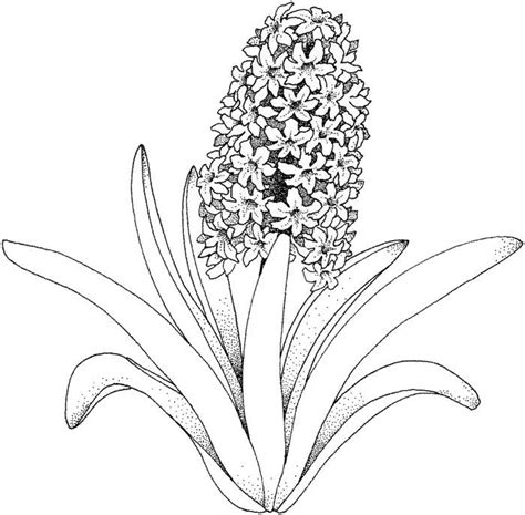 Desene cu Flori de Primavara de colorat imagini și planșe de colorat cu flori de primavara