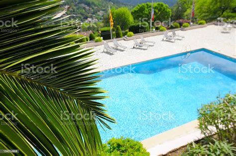 Green Palm Leaf And Blue Pool Vacation Background Stock Photo