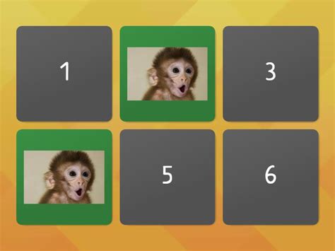 Monkey Memory Game Matching Pairs
