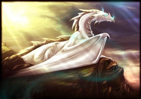 White Dragon White Dragon Fantasy Dragon Dragon Pictures