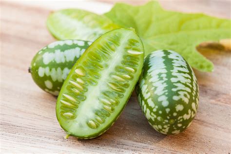 How To Grow Cucamelon A Complete Guide From Seed To Table