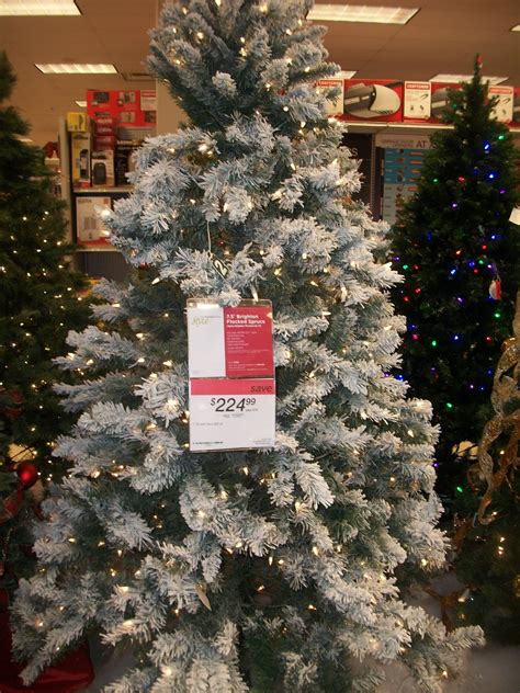 Did find a cocoon of mealy bugs on it. My boys were excited to look at Christmas trees and ...