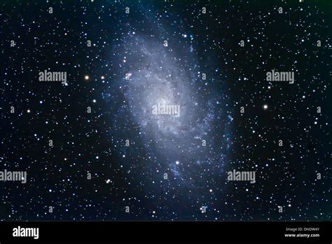 The Triangulum Galaxy Ngc 598 In The Local Group Of Galaxies Stock