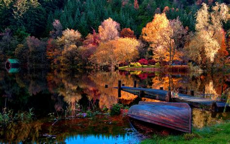 Lake Trees Forest Dock Boat Nature Reflection Wallpapers Hd