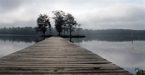 Check spelling or type a new query. project pragmatizo: Beautiful Mississippi!