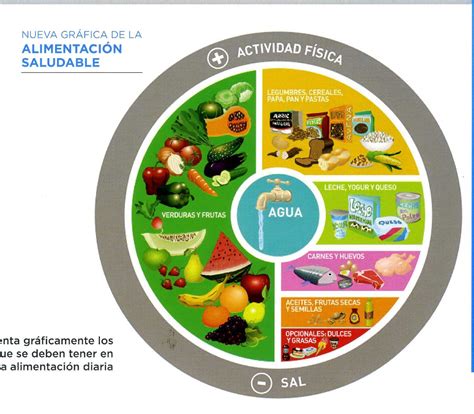 Nueva Gráfica De La Alimentación Saludable Gráfico Disponible En El