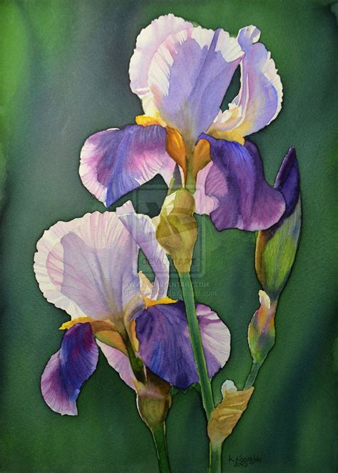Purple Iris By Shelter85 On Deviantart Watercolor Art Art Painting