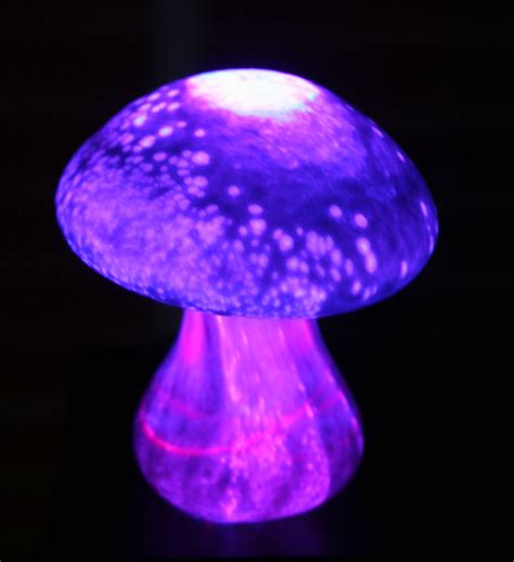 Blown Glass Mushroom Flickr Photo Sharing