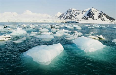 Arctic Sea Ice Cycles Reveal Impacts Of Climate Change