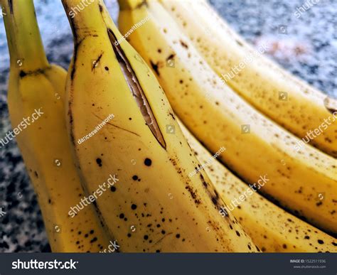 Why Do Bananas Split Open Gardener Corner