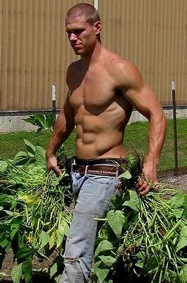 Shirtless Male Athletic Muscular Beefcake Blue Collar Worker Photo X